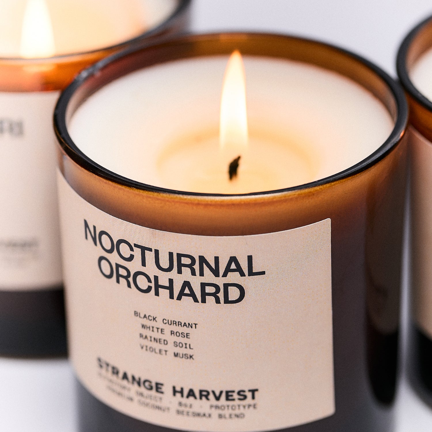 NOCTURNAL ORCHARD