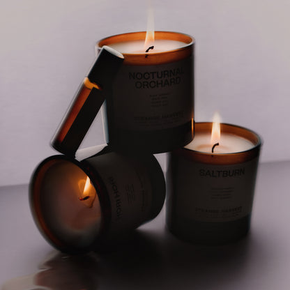 EDITION 01 - THE TRIO