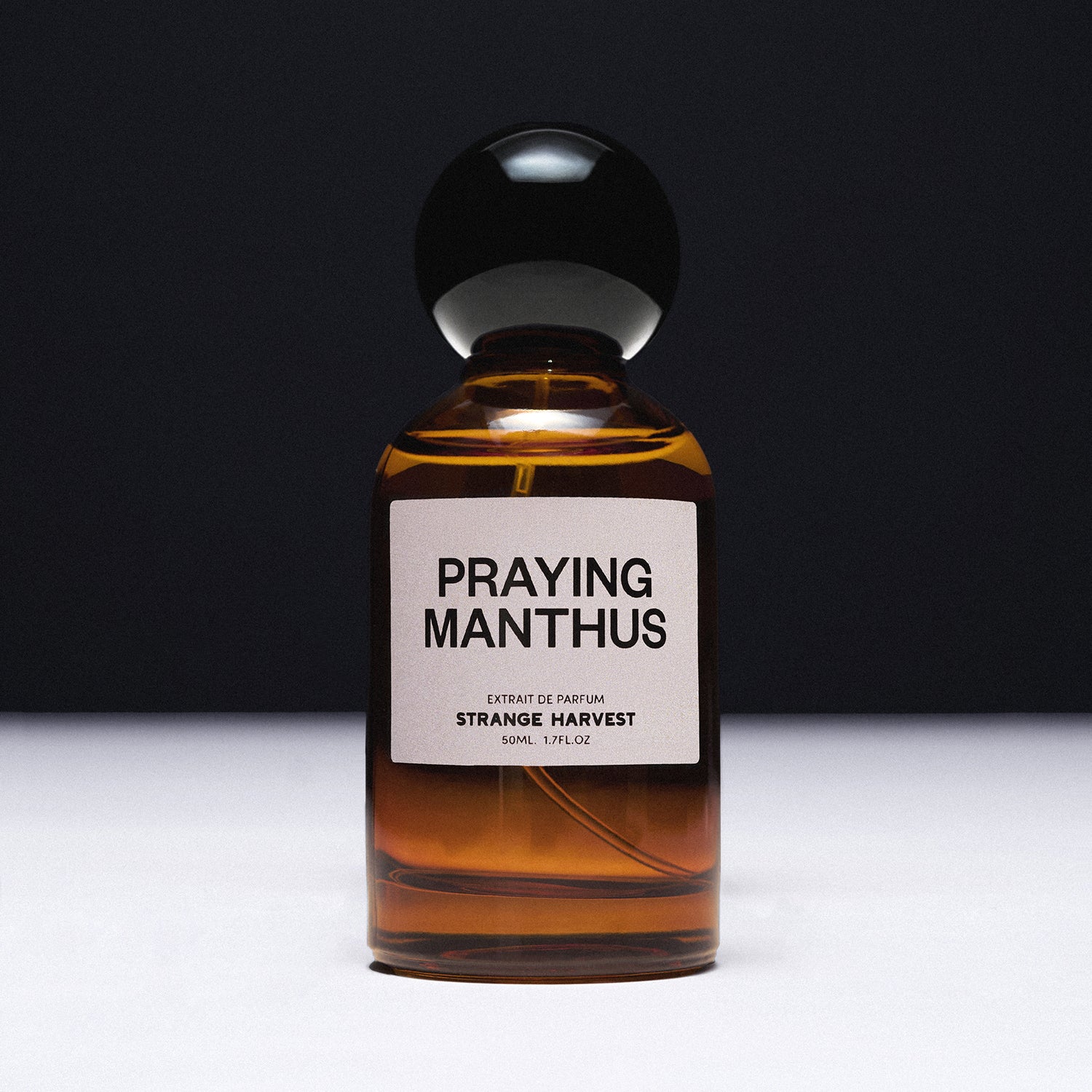 PRAYING MANTHUS