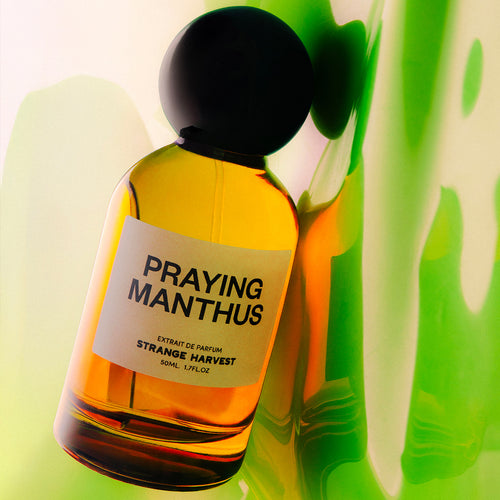 PRAYING MANTHUS