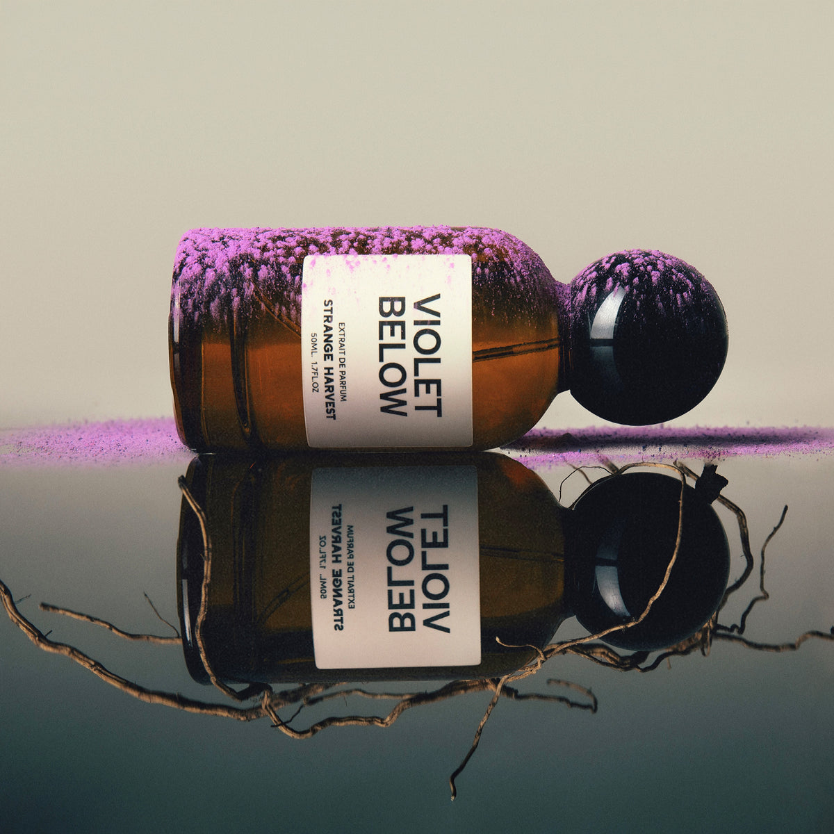 VIOLET BELOW