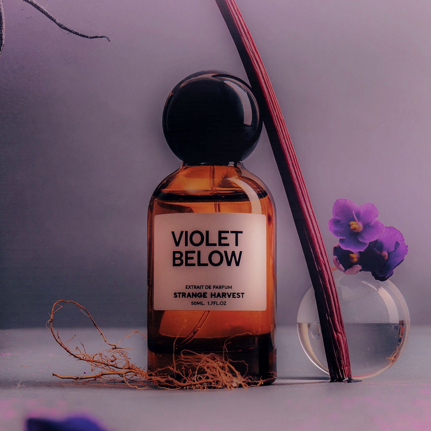 VIOLET BELOW