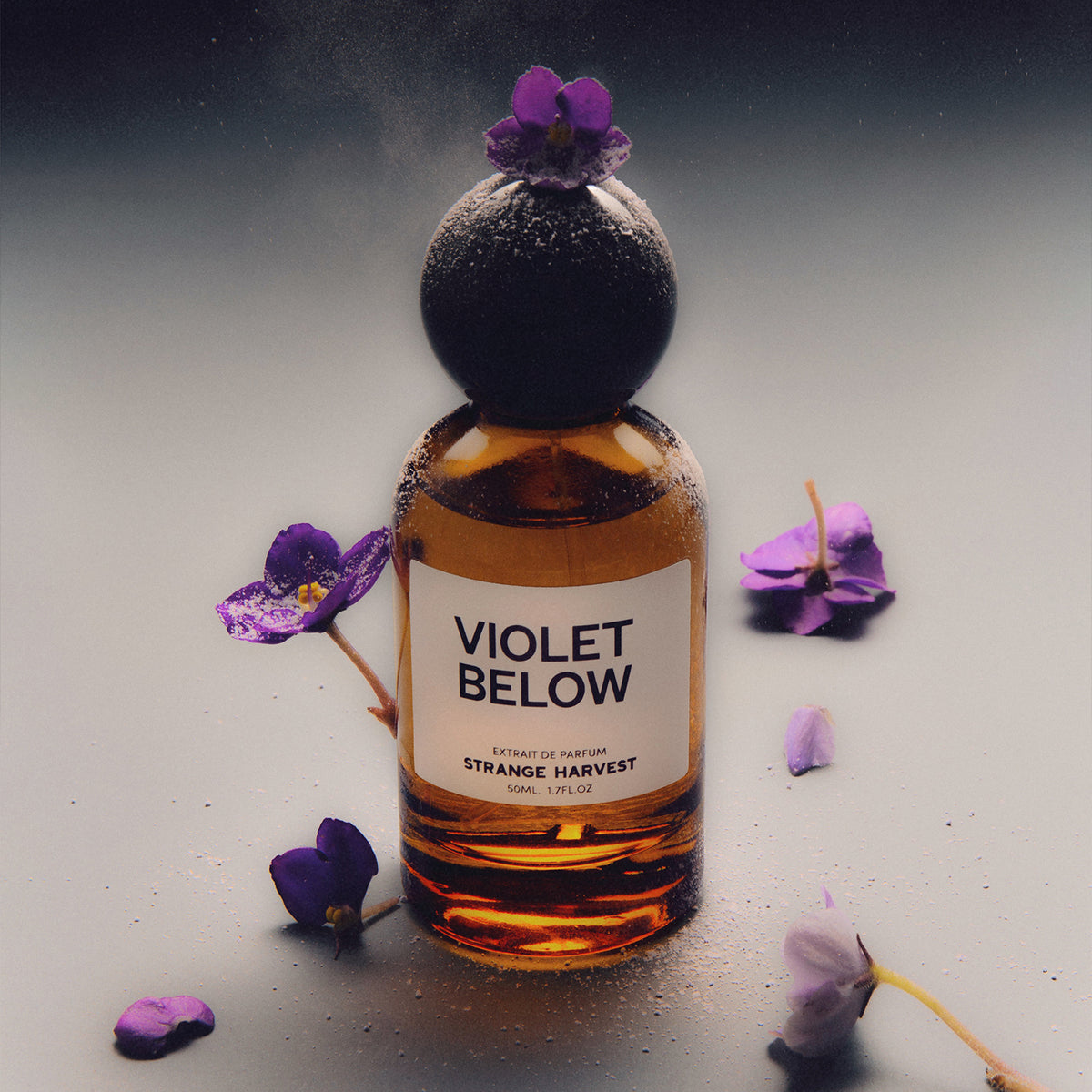 VIOLET BELOW