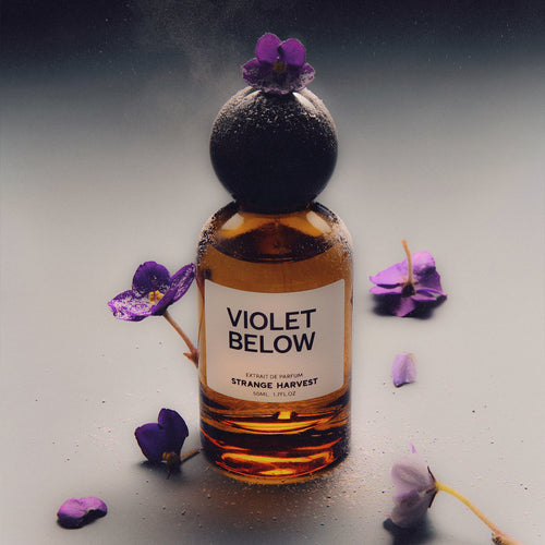 VIOLET BELOW