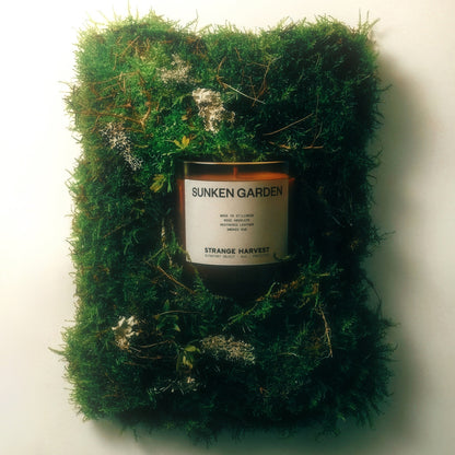SUNKEN GARDEN
