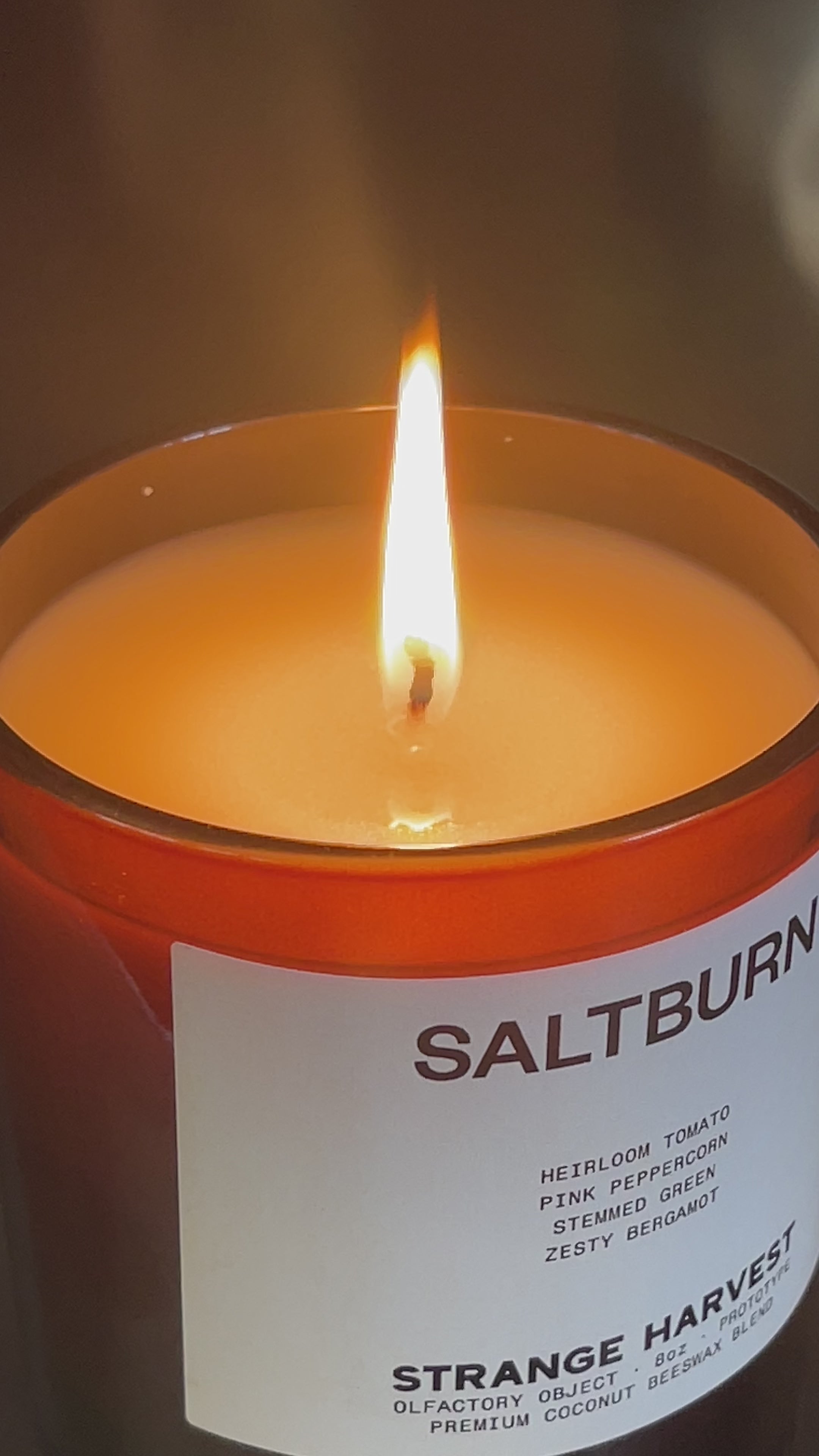 SALTBURN STRANGE HARVEST CANDLE